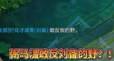 刘备打野出装技能加点攻略（高效利用刘备的打野优势，建立优势节奏）