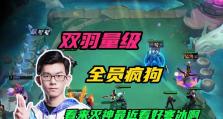 云顶寒冰出装攻略（挑战极限，打造无敌寒冰装备！）