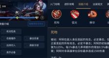 峡谷暗影刺客出装铭文攻略（玩转峡谷暗影刺客，铭文装备一站搞定！）