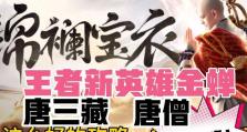 国服金蝉出装思路攻略（打造最强金蝉输出流——国服金蝉出装思路详解）