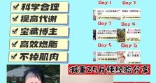 突破瓶颈期出装攻略（突破瓶颈期装备选择与优化的关键）
