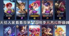 揭秘李元芳最强出装策略（夺取胜利的绝对武装秘籍）
