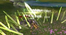 丐帮宠攻略