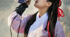 暴走英雄逍遥侠客技能攻略