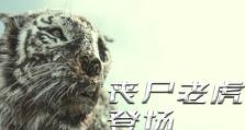 《丧尸军团打法技能加点攻略》（掌握关键技能加点，化解危机并击溃丧尸军团）