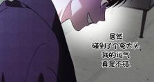 小狗游戏攻略（以不要碰小狗为原则，全面解析游戏攻略）