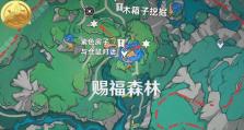 《解锁原神地图的终极攻略》（从未曝光的关键地点揭秘，尽揽天下美景！）