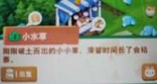 小森灵游戏攻略49（解密谜题、收集宝藏、挑战BOSS，带你畅玩小森灵49关！）
