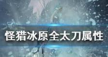琥珀色的猎人游戏攻略（挑战琥珀色的迷宫，成为猎人之王）