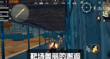 老撕鸡世界游戏攻略（一起揭秘老撕鸡世界游戏的攻略技巧，让你在战场上独步天下）