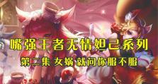 国服愿望妲己出装攻略（击败敌人的关键——妲己出装攻略）