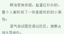 探究快穿文中苏文的吸引力（探寻苏文角色在快穿文中的吸引力和魅力所在）