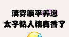 《揭秘以太子养歪攻略176》（从入门到精通，全面解析以太子养歪攻略176的关键技巧和策略）