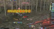 FF14贤王攻略（探索、战斗、成长，解锁全新的冒险之门）